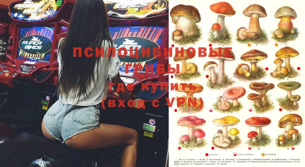 прущий лед Арсеньев