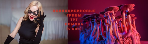 прущий лед Арсеньев