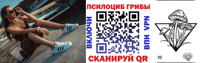 наркотики  KRAKEN ТОР  Галлюциногенные грибы прущие грибы  Салаир 